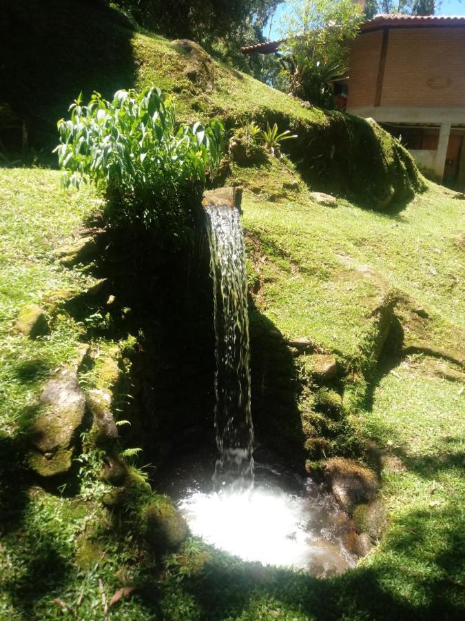 Chale Truta Da Floresta Visconde De Maua Dış mekan fotoğraf