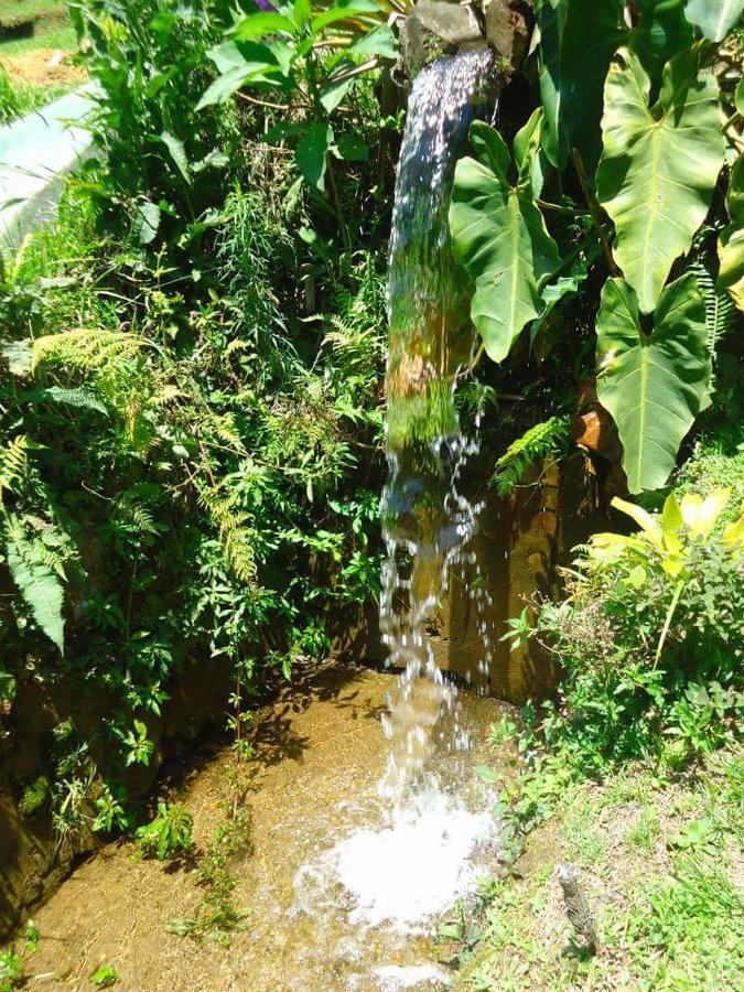 Chale Truta Da Floresta Visconde De Maua Dış mekan fotoğraf