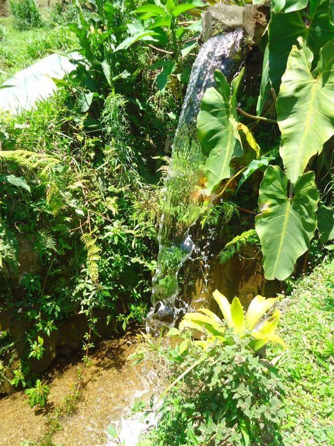 Chale Truta Da Floresta Visconde De Maua Dış mekan fotoğraf