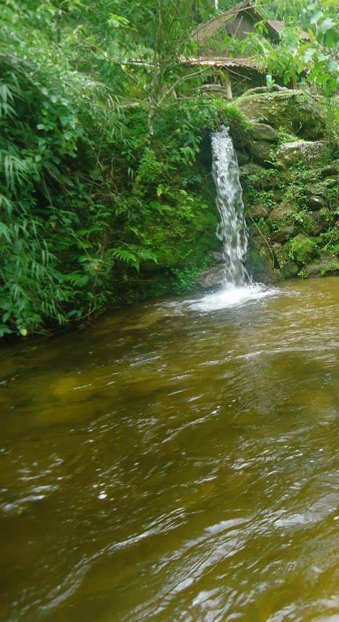 Chale Truta Da Floresta Visconde De Maua Dış mekan fotoğraf