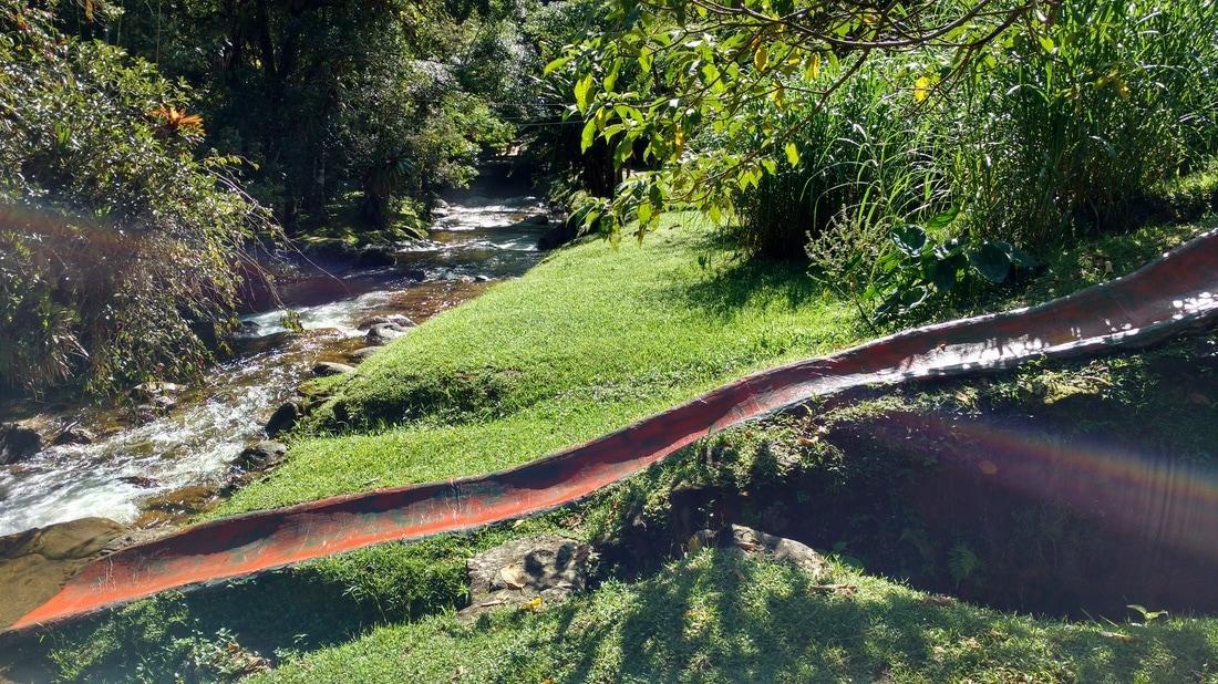 Chale Truta Da Floresta Visconde De Maua Dış mekan fotoğraf